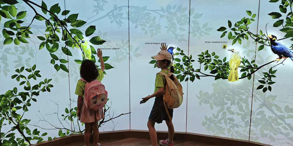 after school care singapore